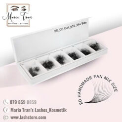 2D PROMADE FANS MIX SIZE